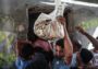 Warga Palestina berdesakan mengantre roti di depan sebuah toko roti di Gaza di tengah kelangkaan tepung